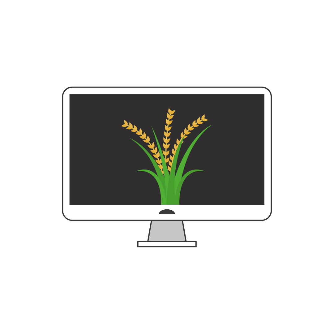 Web KSA Padi